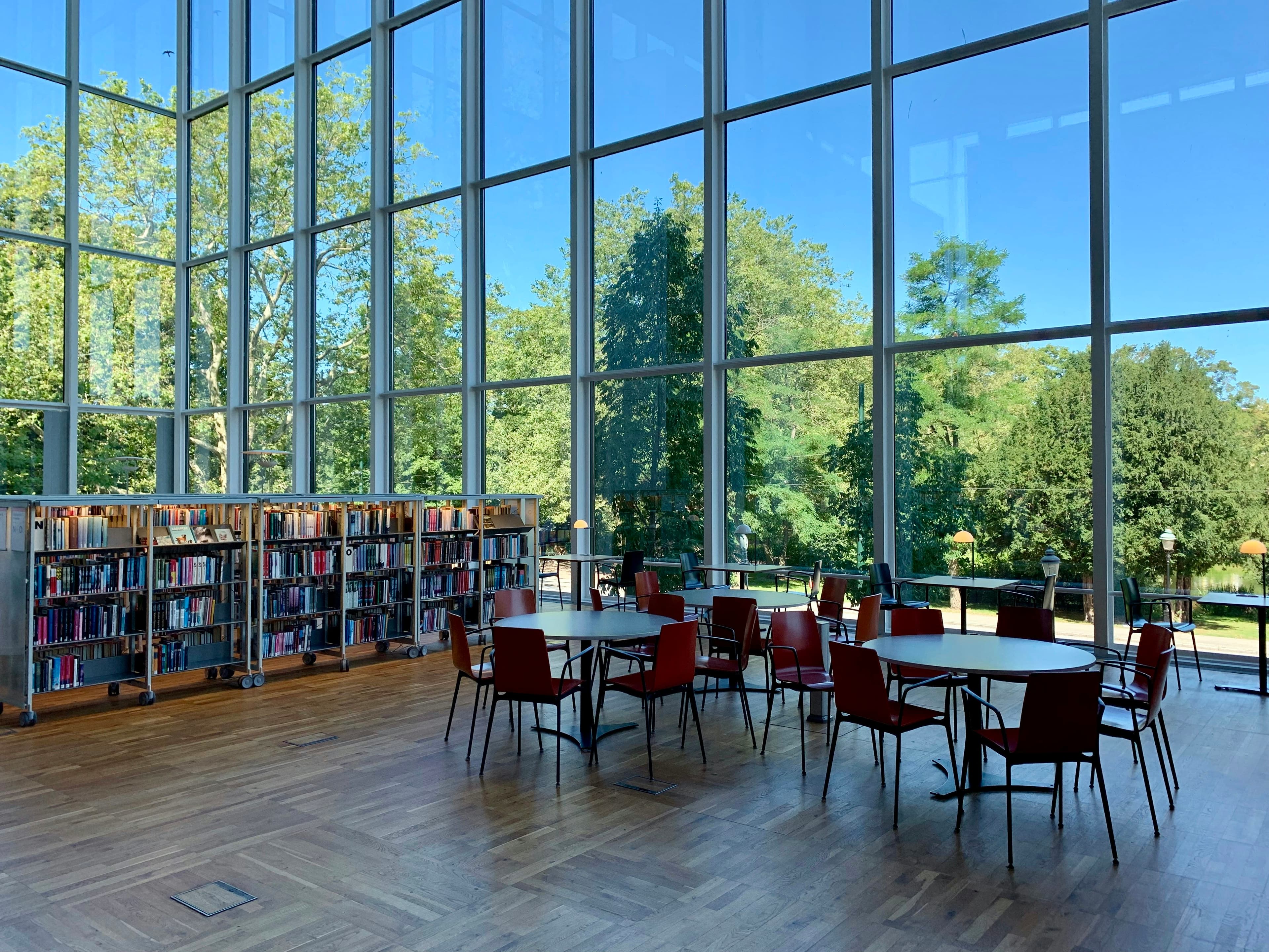 A bright school library with tall windows and reading tables
